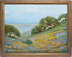 California Wild Flower Landscape
