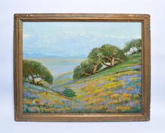 California Wild Flower Landscape