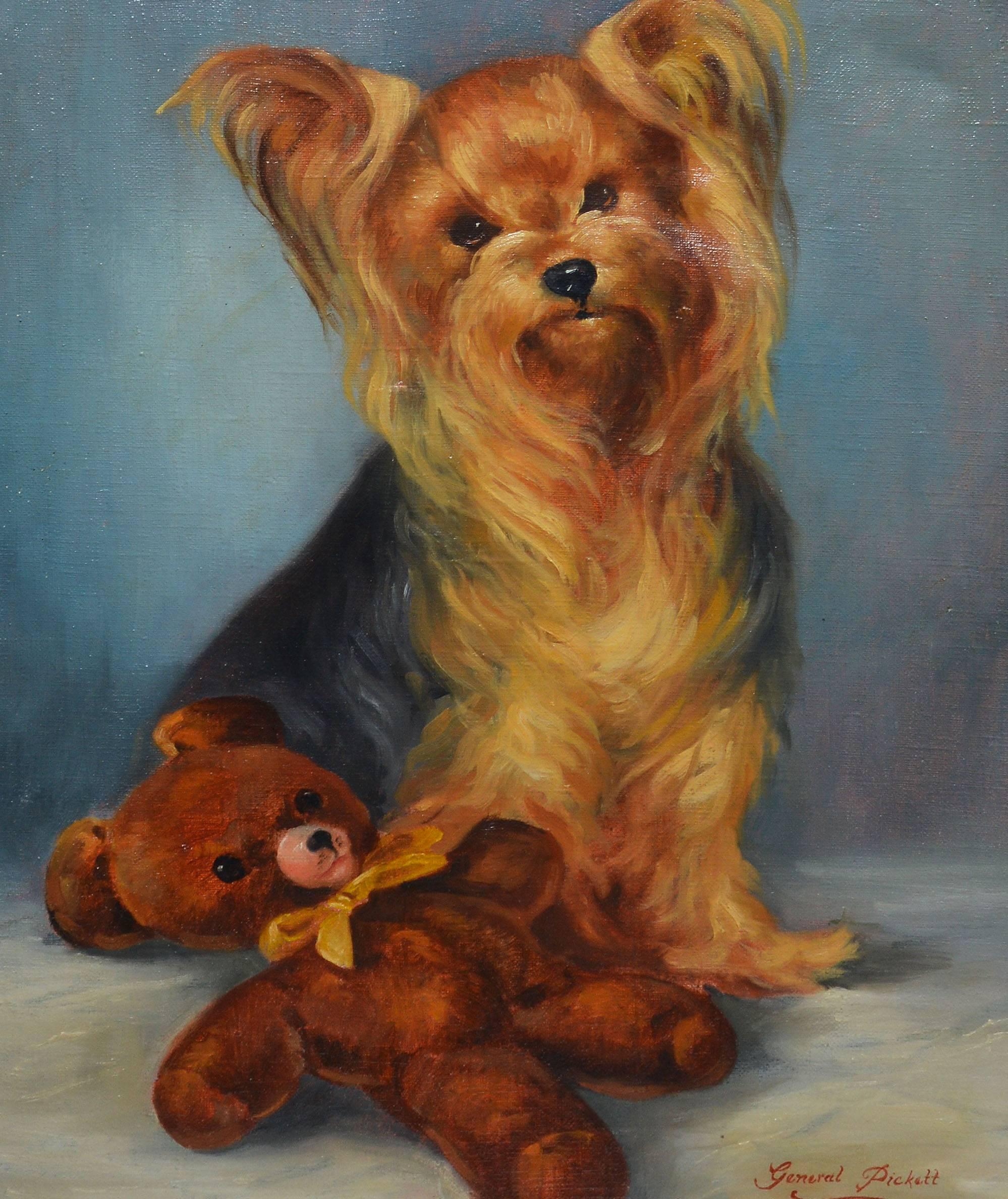 picture of a yorkie dog