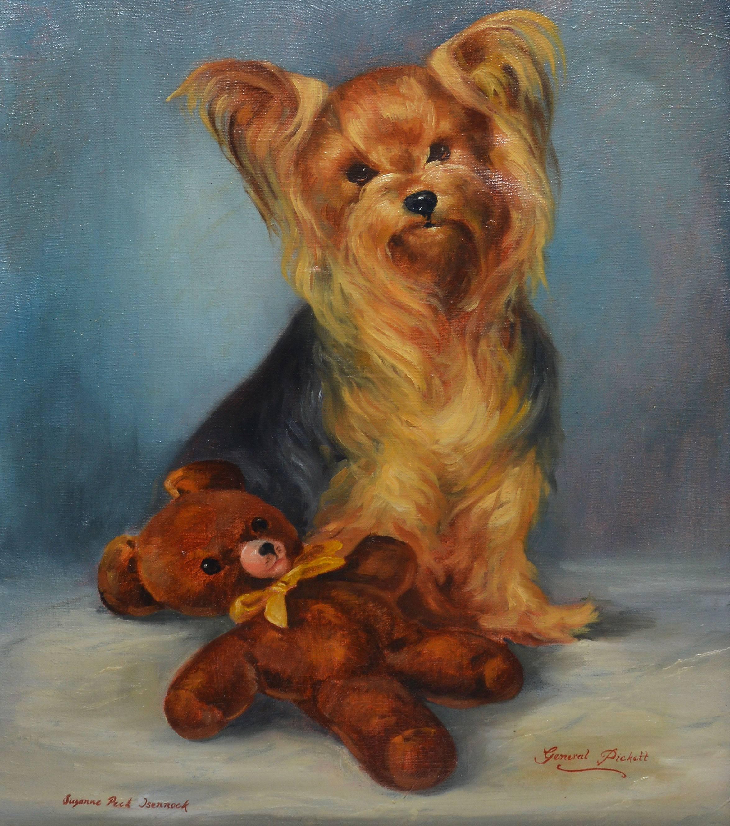 yorkie portraits