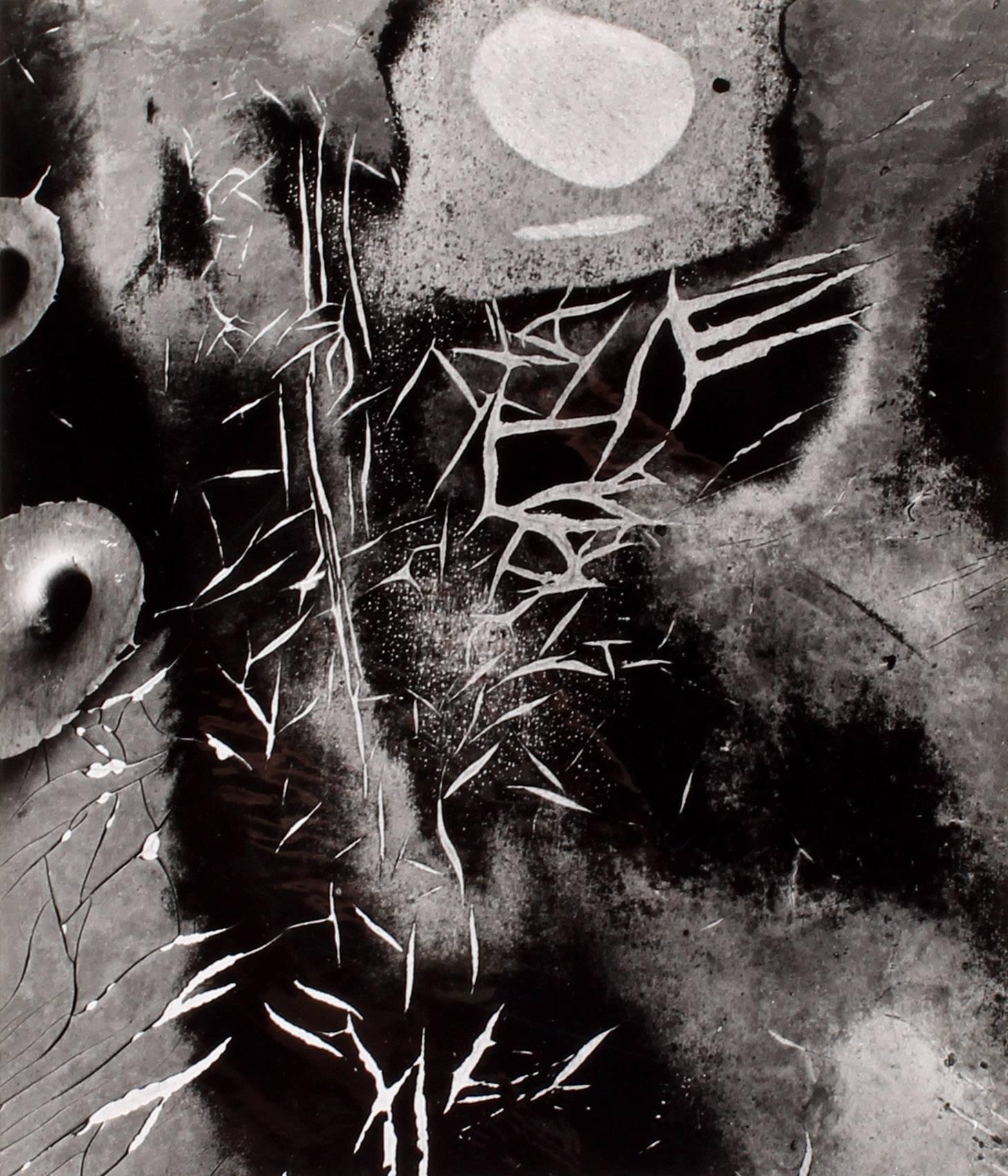 What was Brett Weston known for?