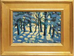 Snow, Trees, and Sunlight