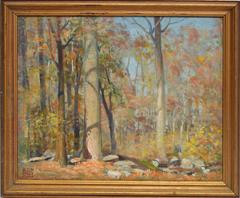 Fall Forest View by Robert Amick