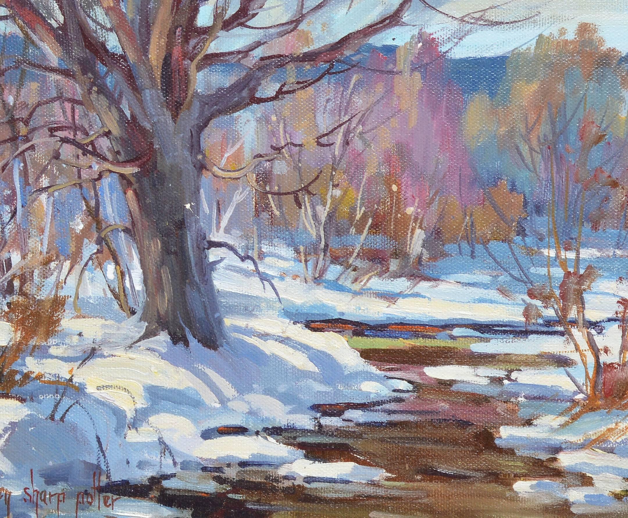 Winter Brook by Helen Sharp Potter 3