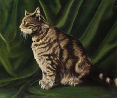 Portrait of a Striped Cat