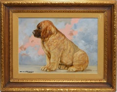 Portrait of a Chubby Puppy