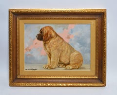 Portrait of a Chubby Puppy