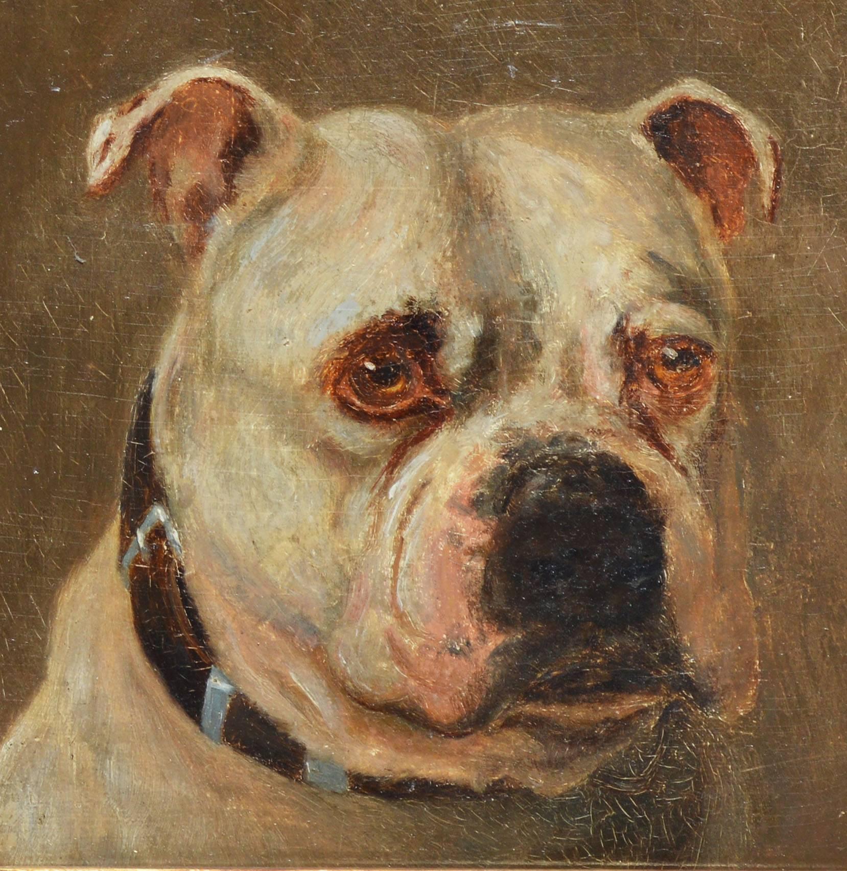 19th Century American School Portrait of a Dog - Brown Animal Painting by Unknown