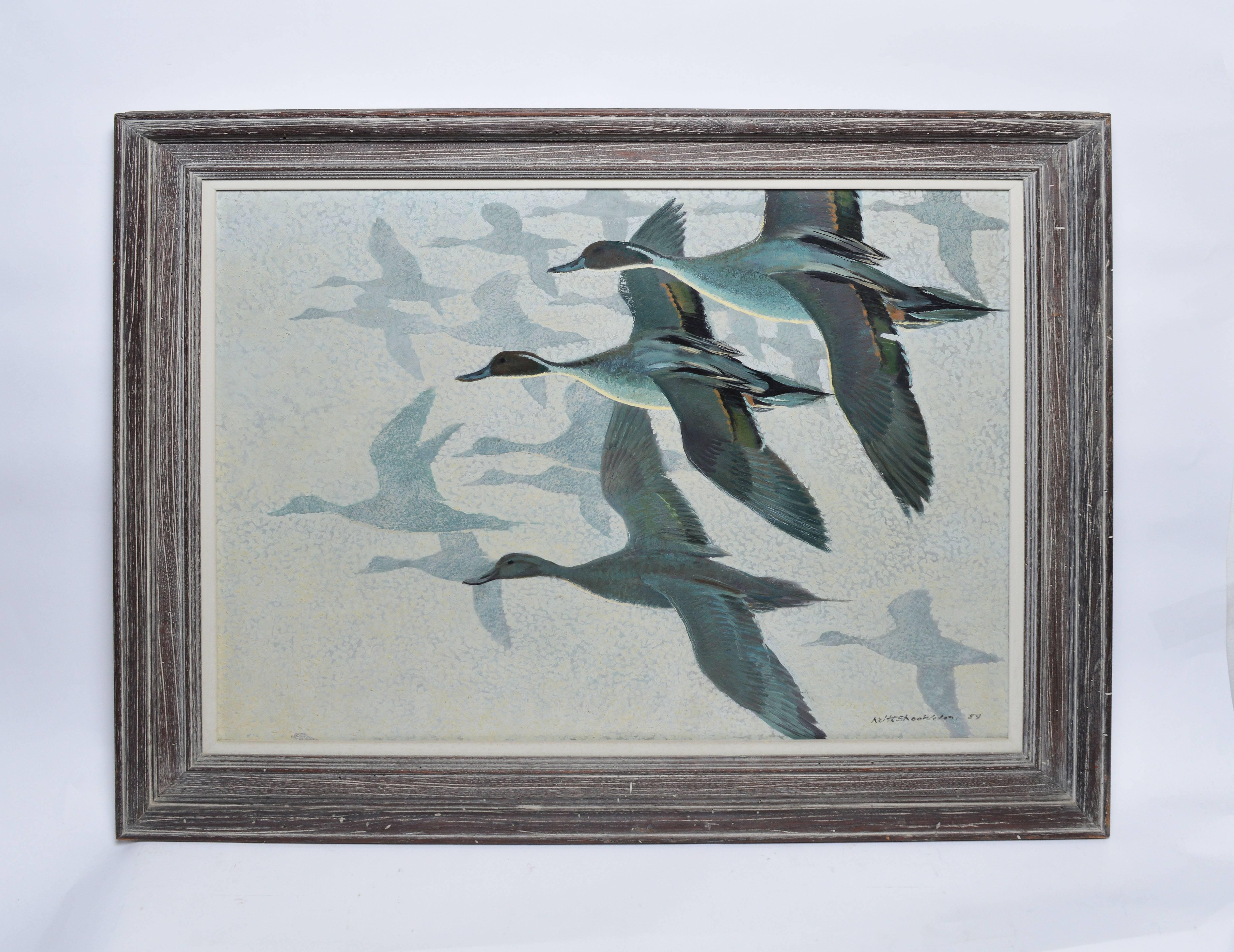keith shackleton artist