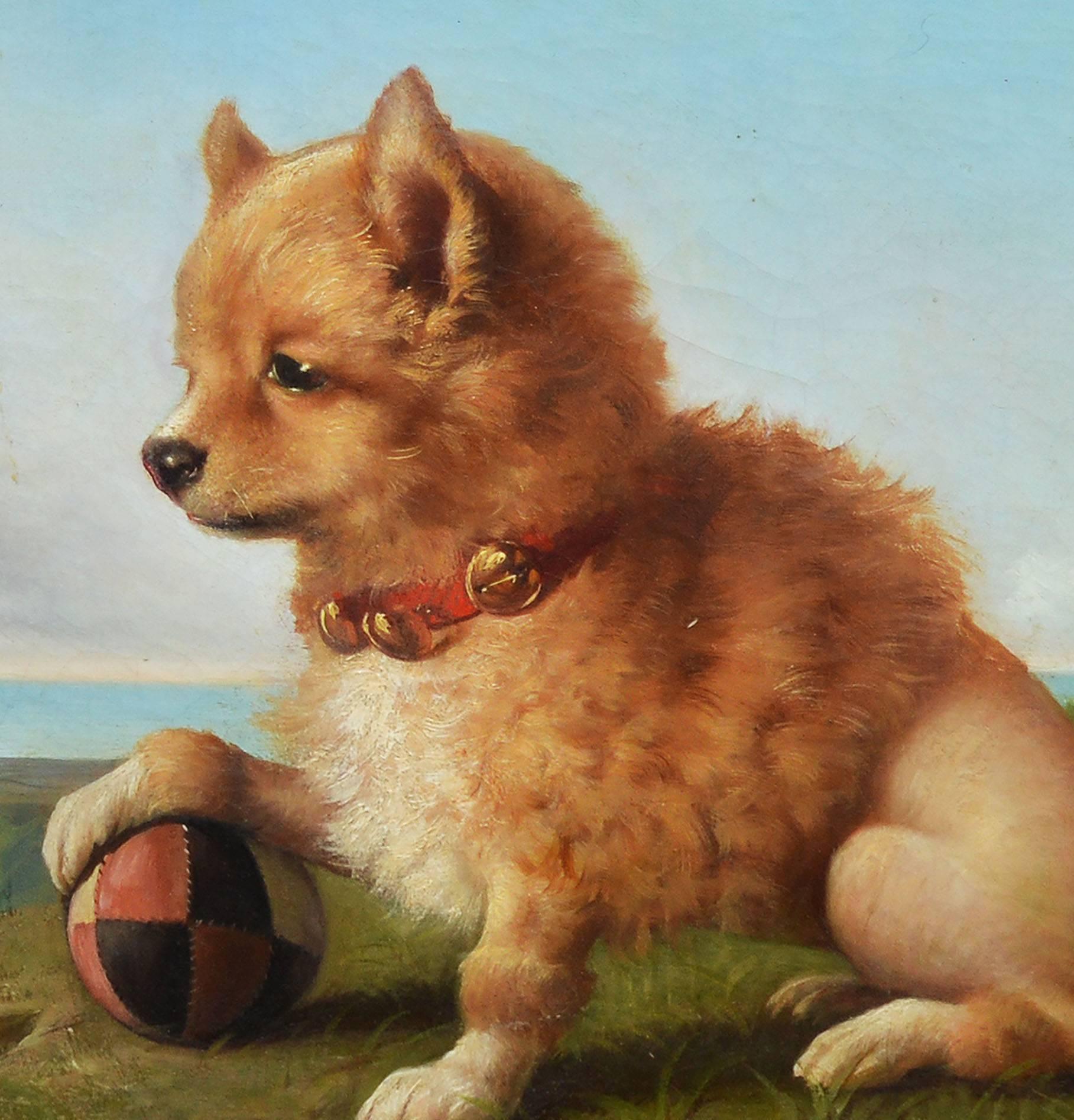 Portrait of a Pomeranian Dog by Oreste Costa (1851-1901) 2