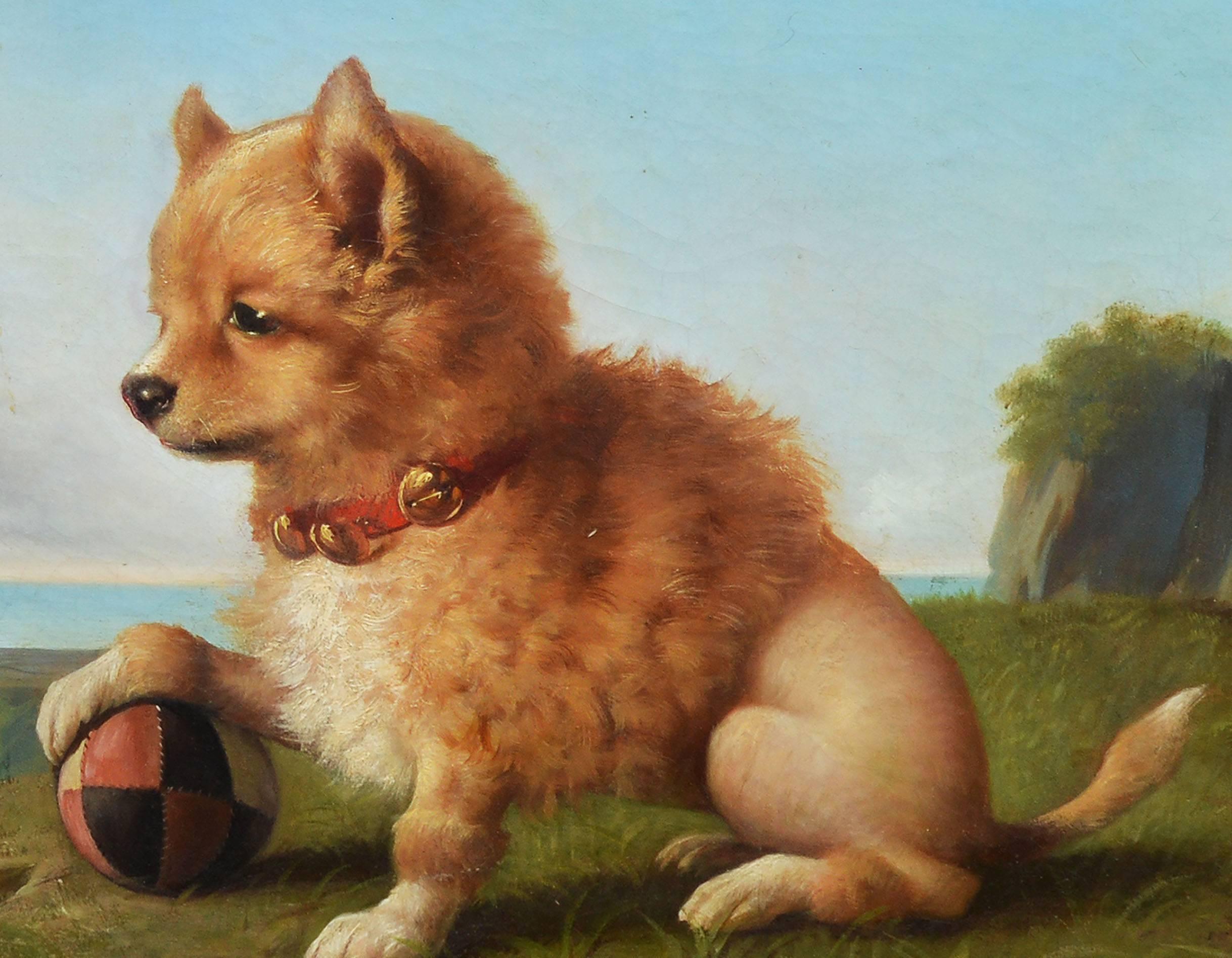 Portrait of a Pomeranian Dog by Oreste Costa (1851-1901) 1