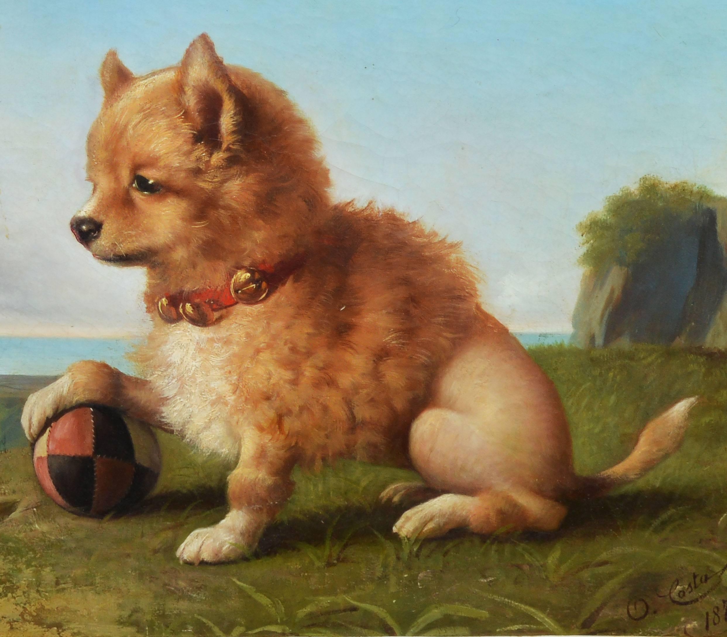 Realist portrait of a Pomeranian Dog by Oreste Costa (1851-1901).  Oil on canvas, circa 1880.  Signed lower right, 