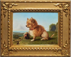 Portrait of a Pomeranian Dog by Oreste Costa (1851-1901)