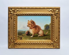 Portrait of a Pomeranian Dog by Oreste Costa (1851-1901)