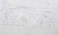 Forrest Overlook 7