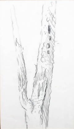 Strong Tree Trunk 8