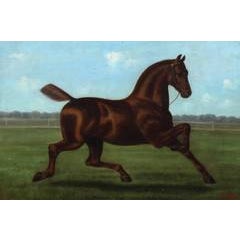 The Thoroughbred 12