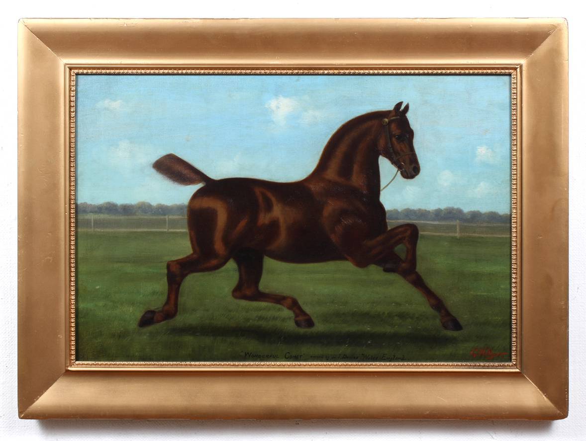 The Thoroughbred - Painting by Gregory Hollyer