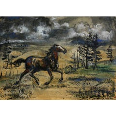 Wild Horse 12
