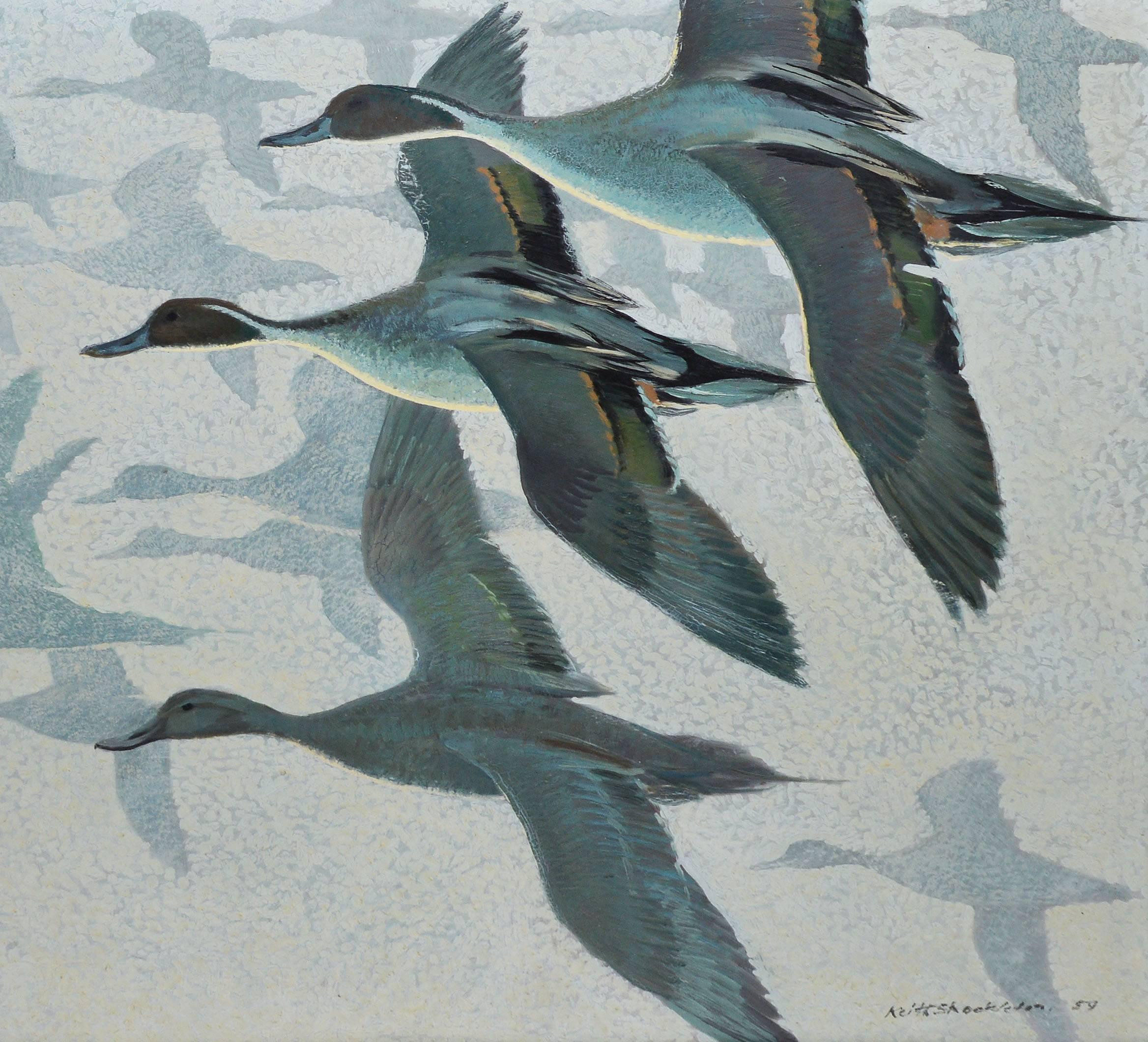 Pintail Ducks in Flight, Modernist Painting by Keith Shackleton 1