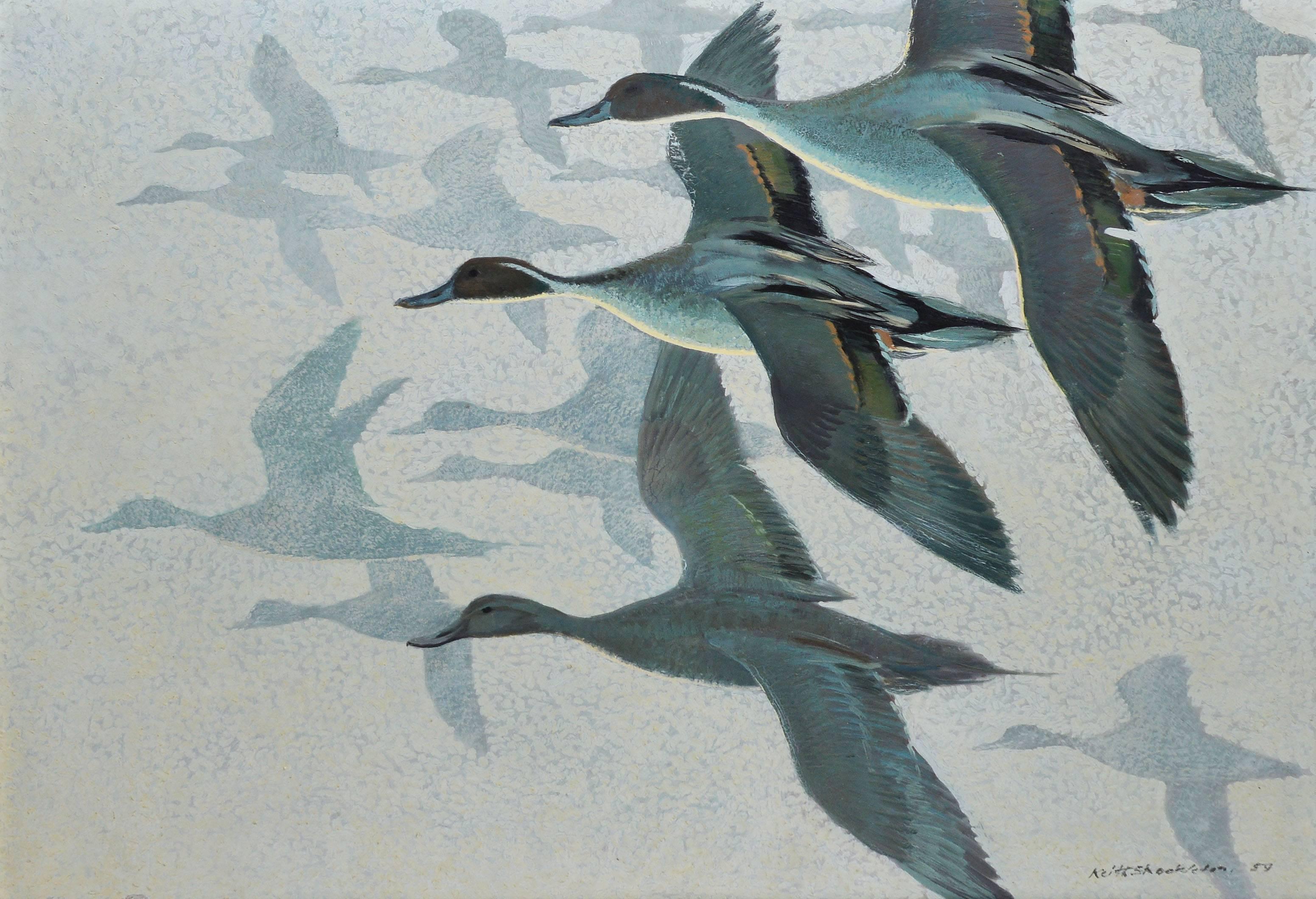 keith shackleton paintings for sale
