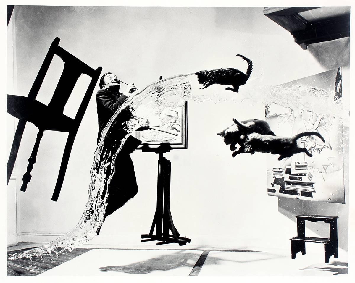 Philippe Halsman - Dali Atomicus at 1stdibs