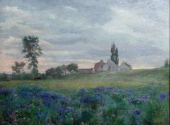 Wild Flowers at Dusk