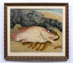Hogfish Still Life 7