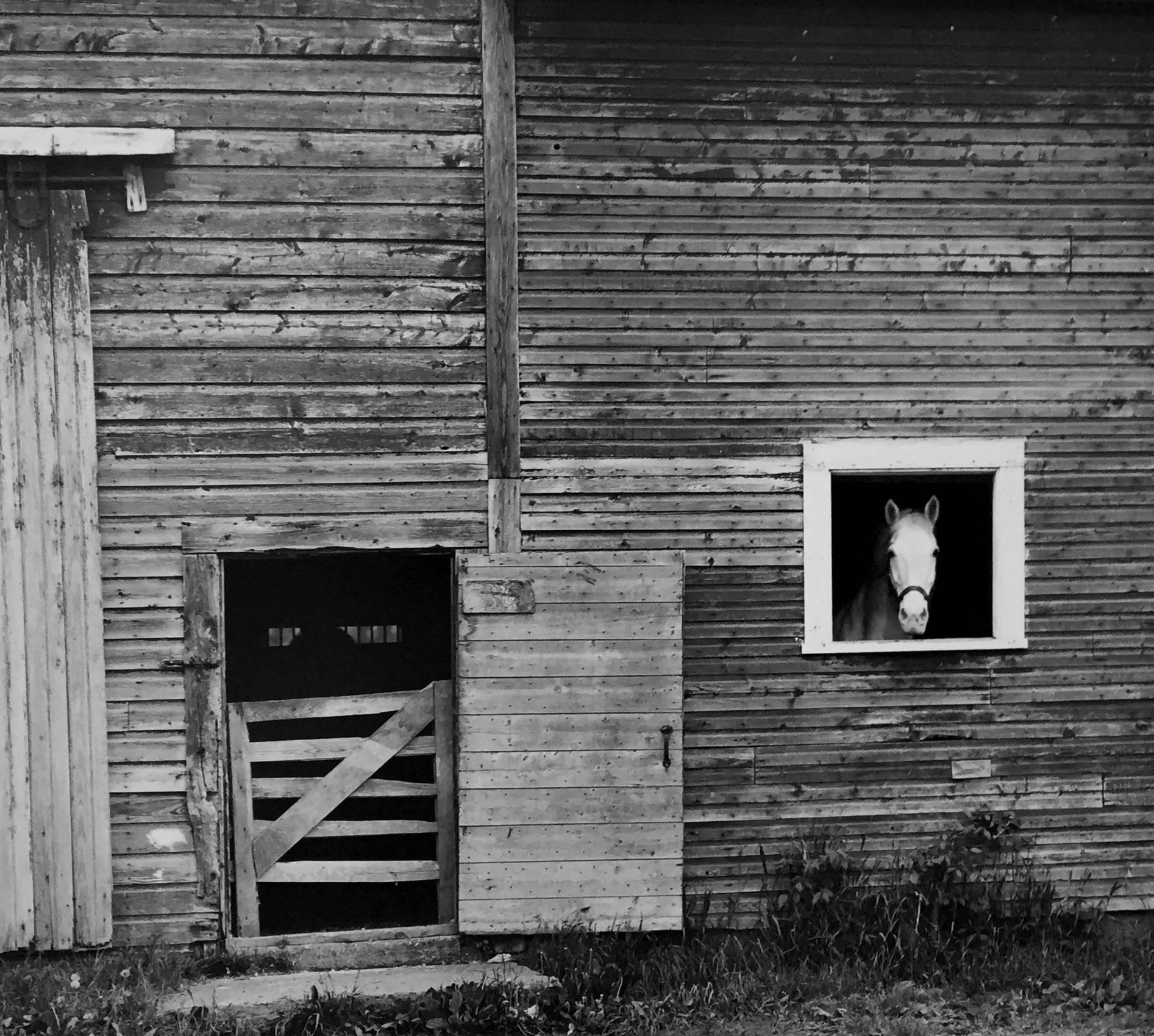 David Plowden Black and White Photograph - Ajax, Burlington, Vermont