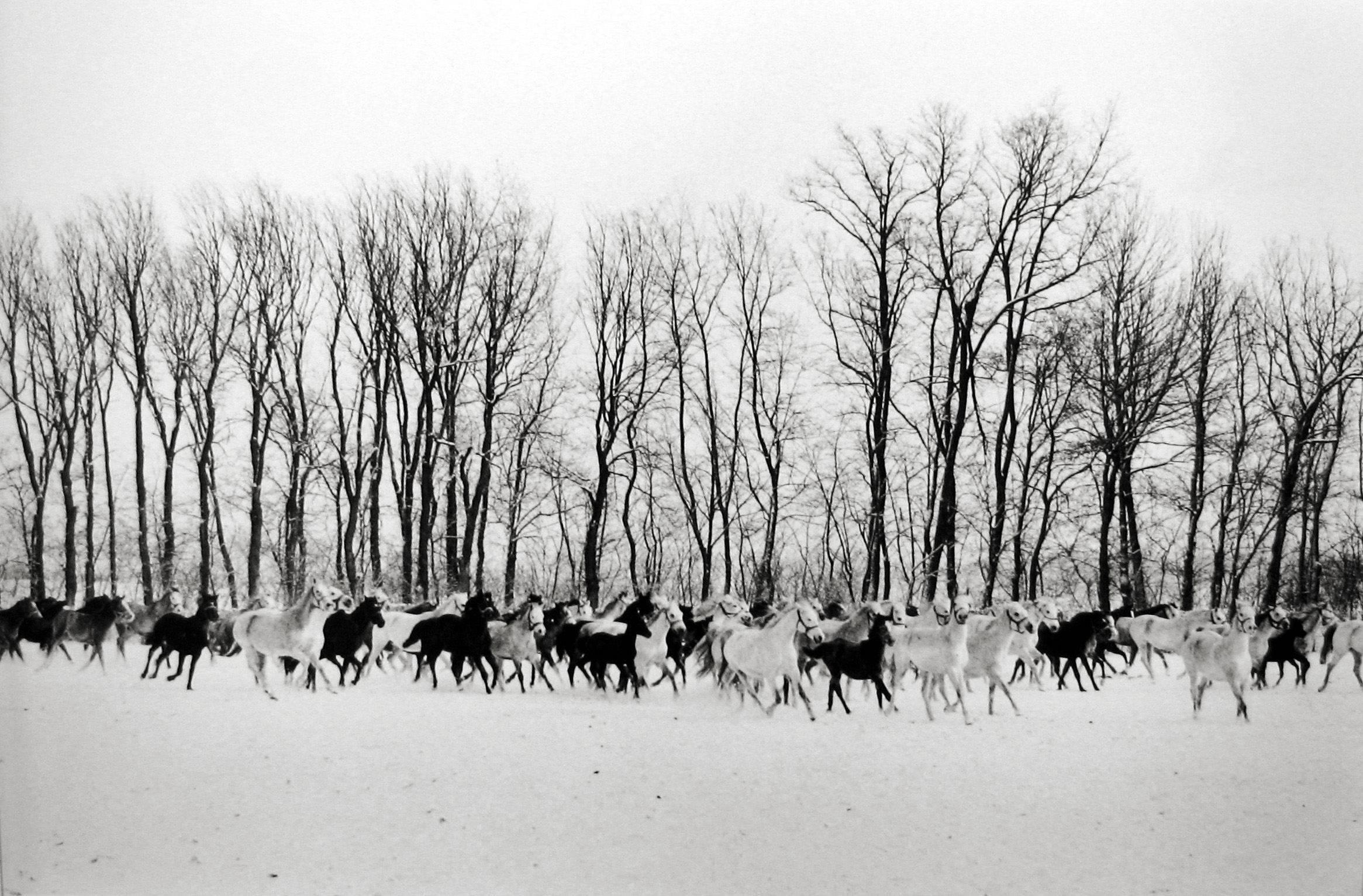 Henri Cartier-Bresson Black and White Photograph - Gyor, Hungary