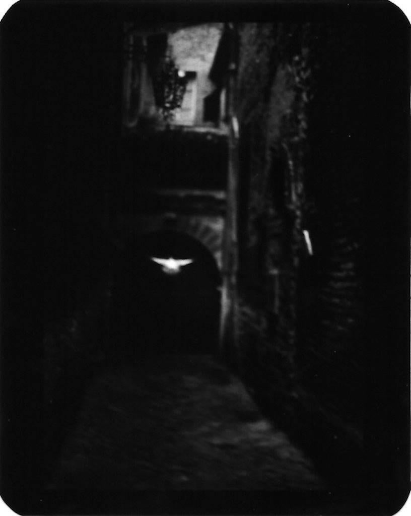 Giacomo Brunelli Black and White Photograph - Pigeon Montefalco Alley