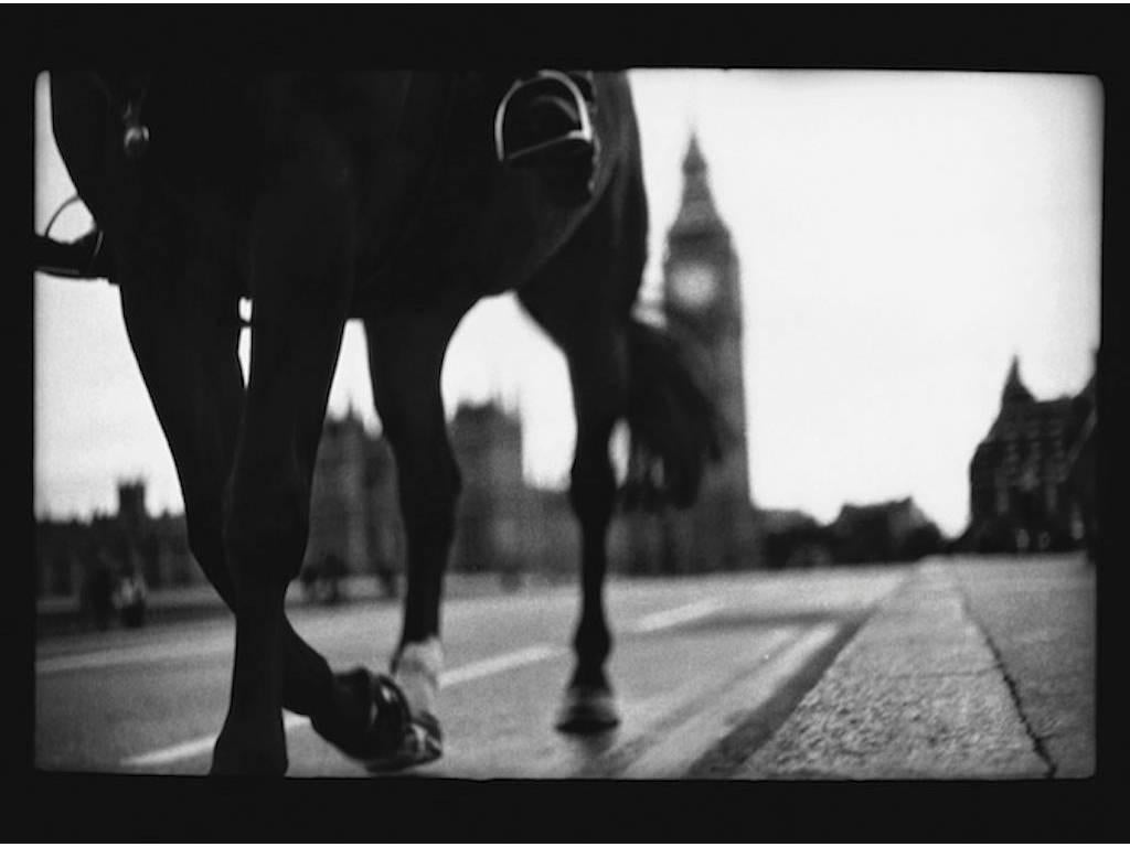 Giacomo Brunelli Black and White Photograph - Horse, Westminster Bridge