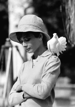 Vintage Audrey Hepburn with Dove, St. Tropez