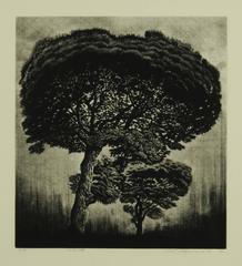 Title not translated