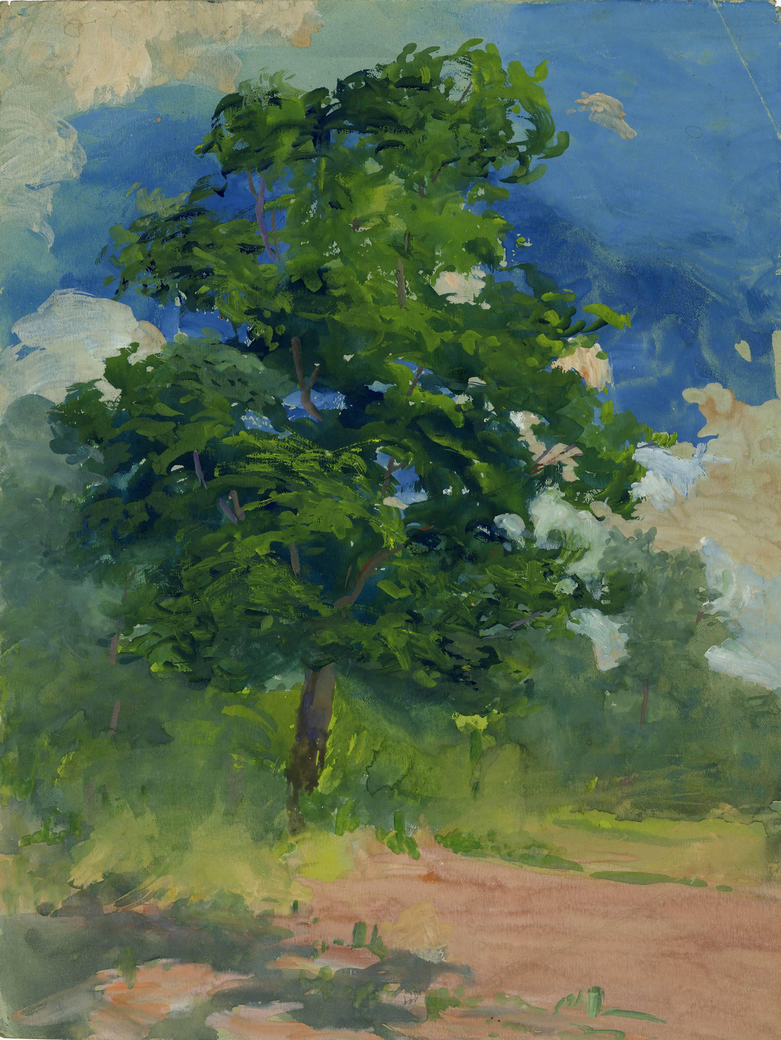 Emma Lane Payne Landscape Art - untitled (Summer Sentry)