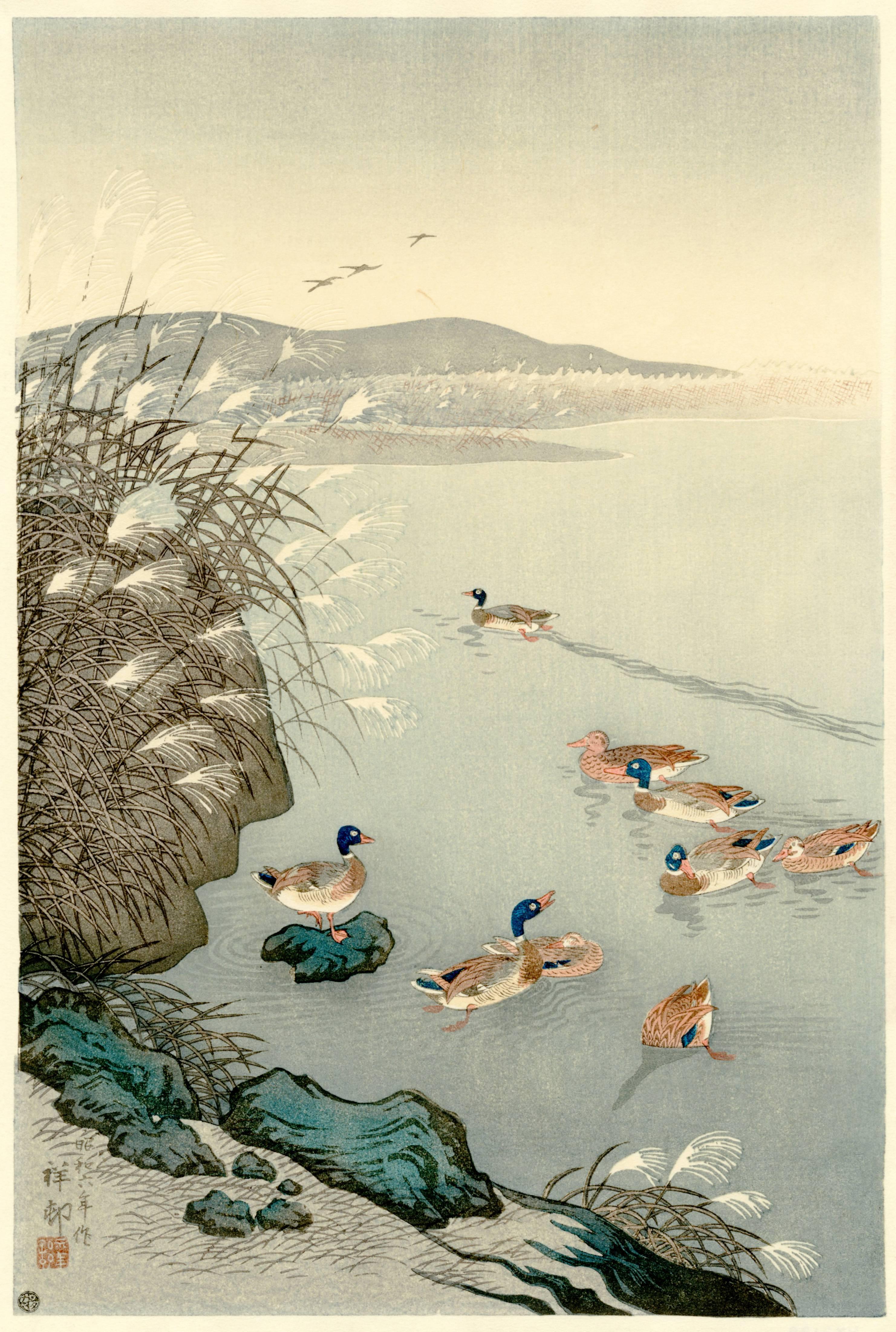 Ohara Koson Landscape Print - Mallards in coastal scene