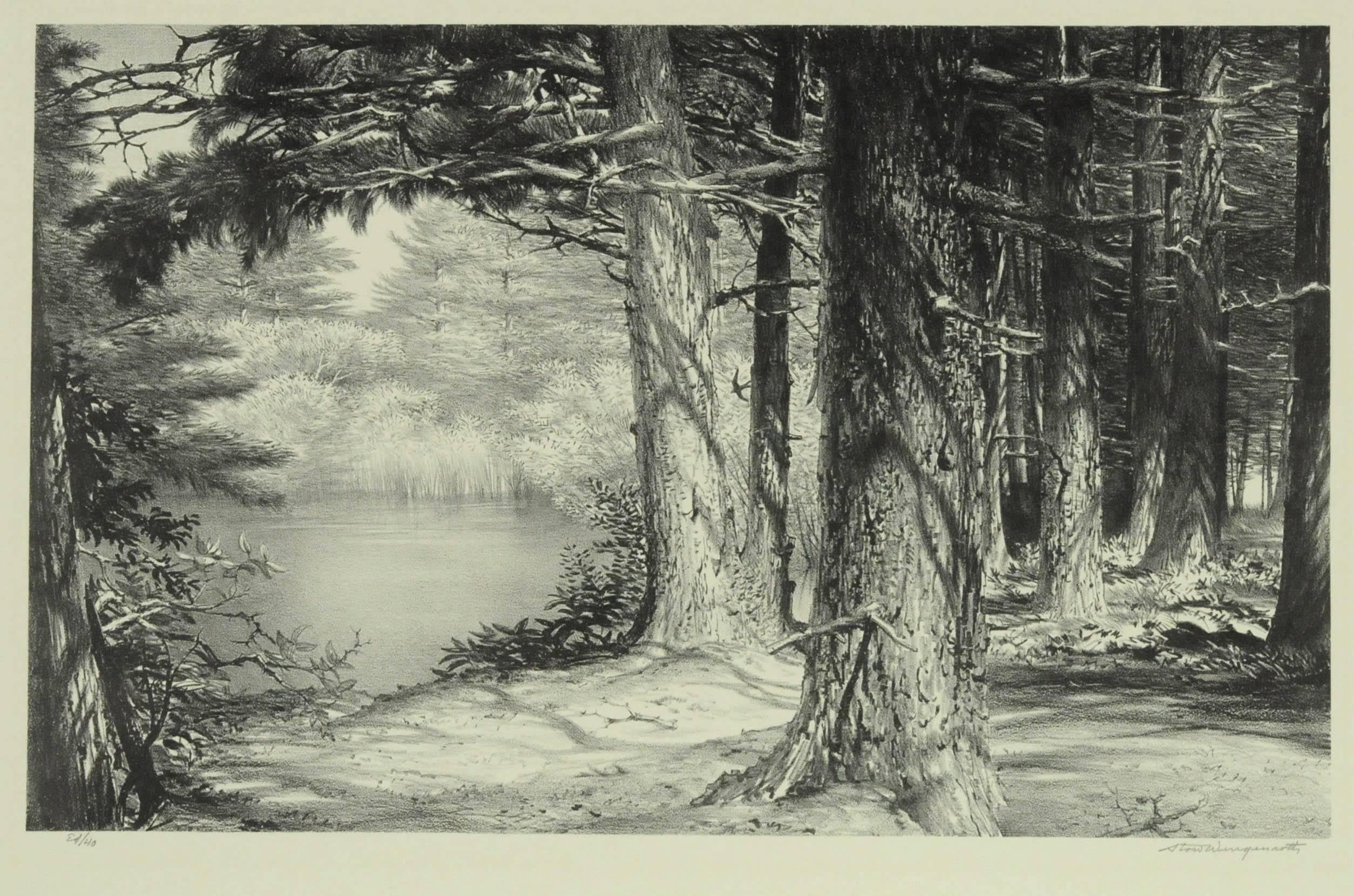 Hidden Pond - Print by Stow Wengenroth