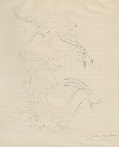 Pagina di Croquis: Tetes de Antilops