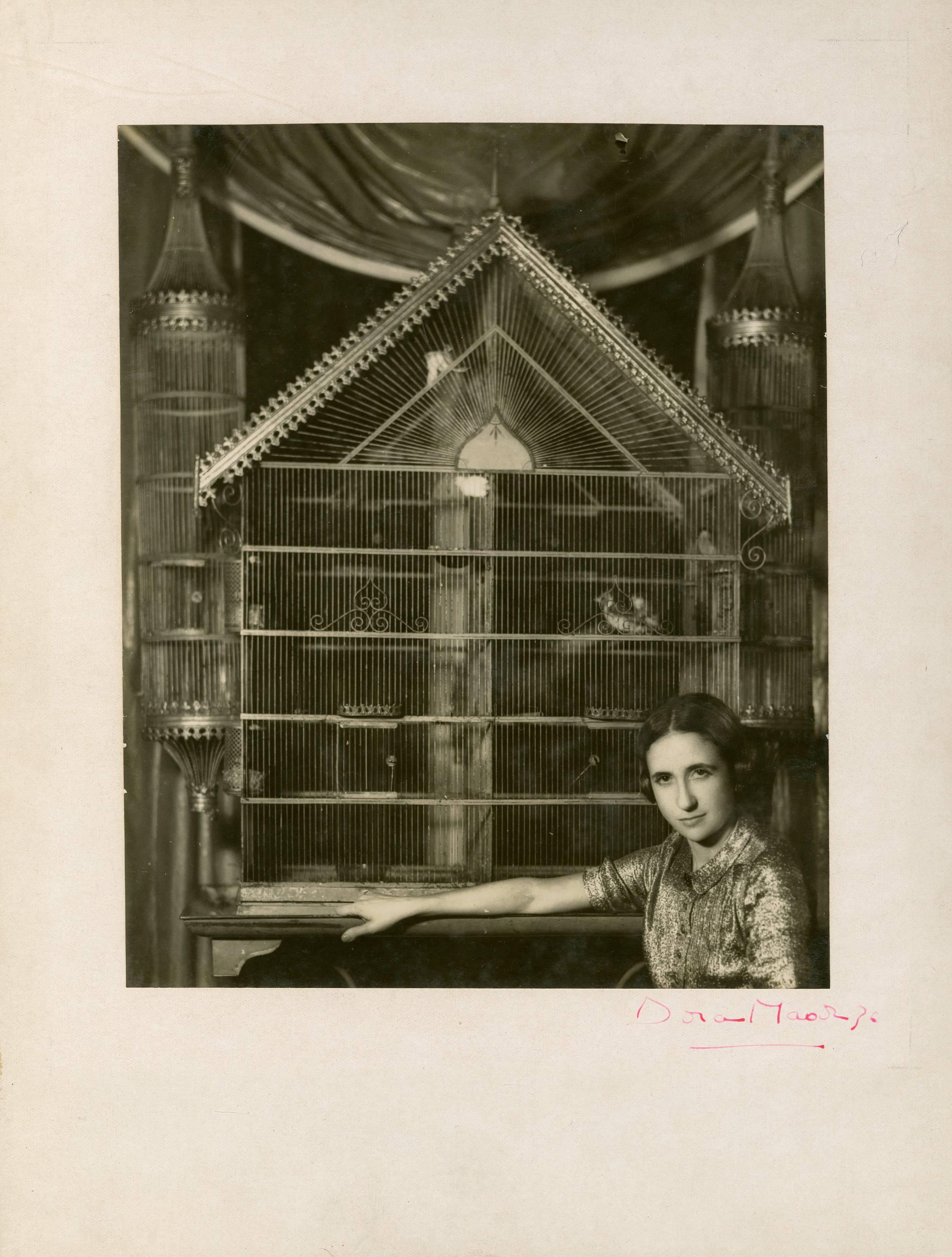 Dora Maar Portrait Photograph - Portrait of Lise Deharme Lise Deharme, chez elle devant sa cage a oiseaux
