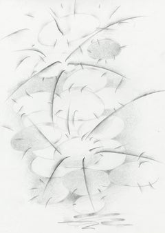 Senza titolo (cactus)
