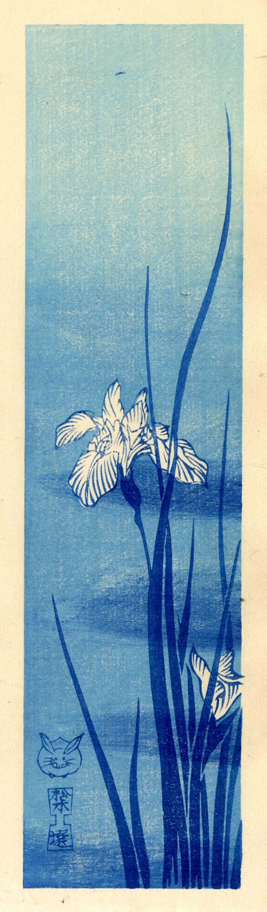 Unknown Still-Life Print - Iris