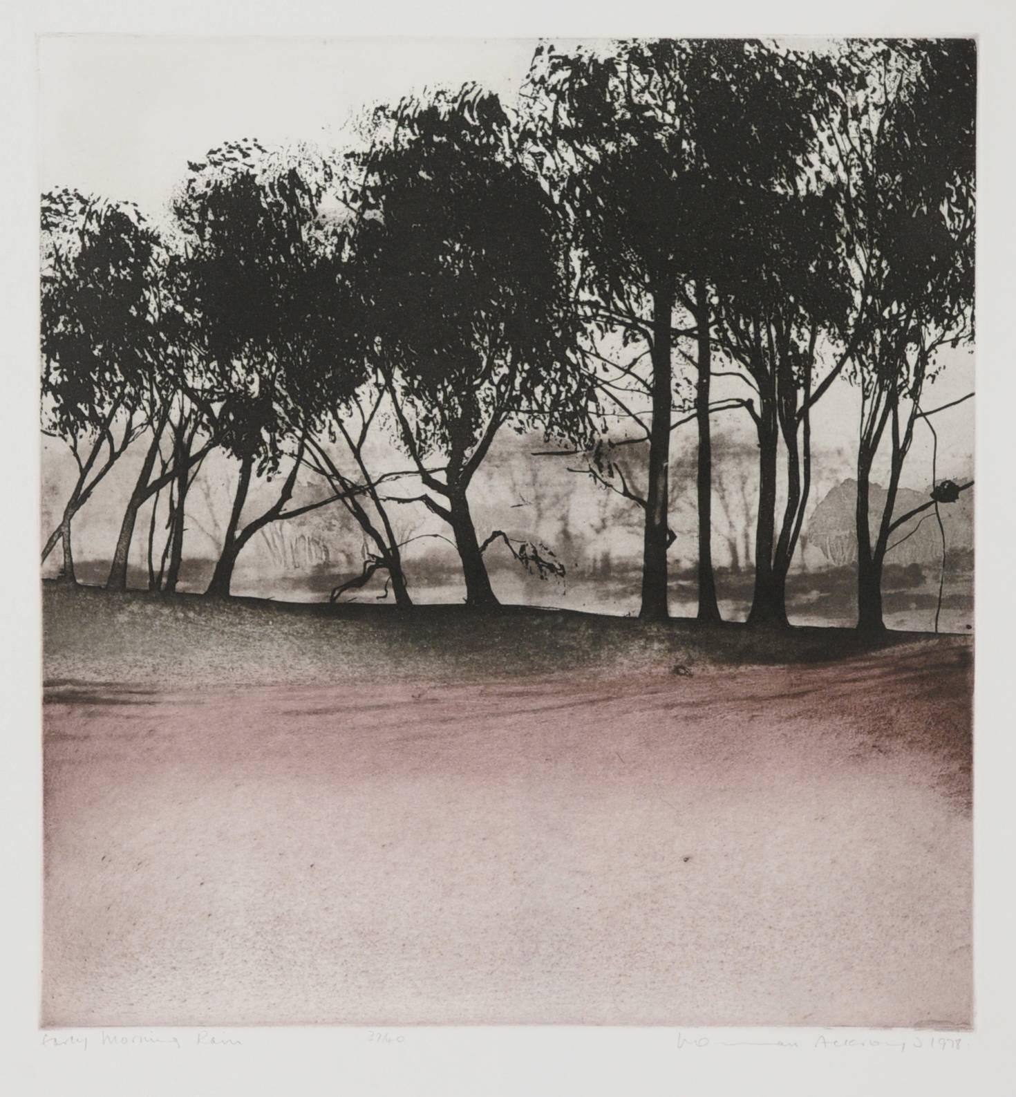 Norman Ackroyd Landscape Print - Early Morning Rain