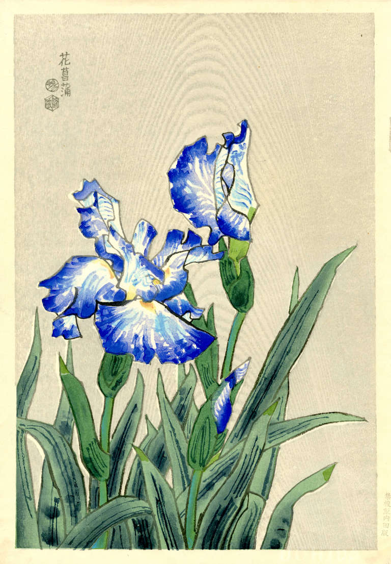 Eiichi Kotozuka Still-Life Print - Iris