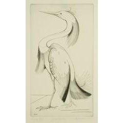 Snowy Egret 10