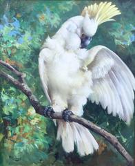 "Yellow-Crested Cockatoo"