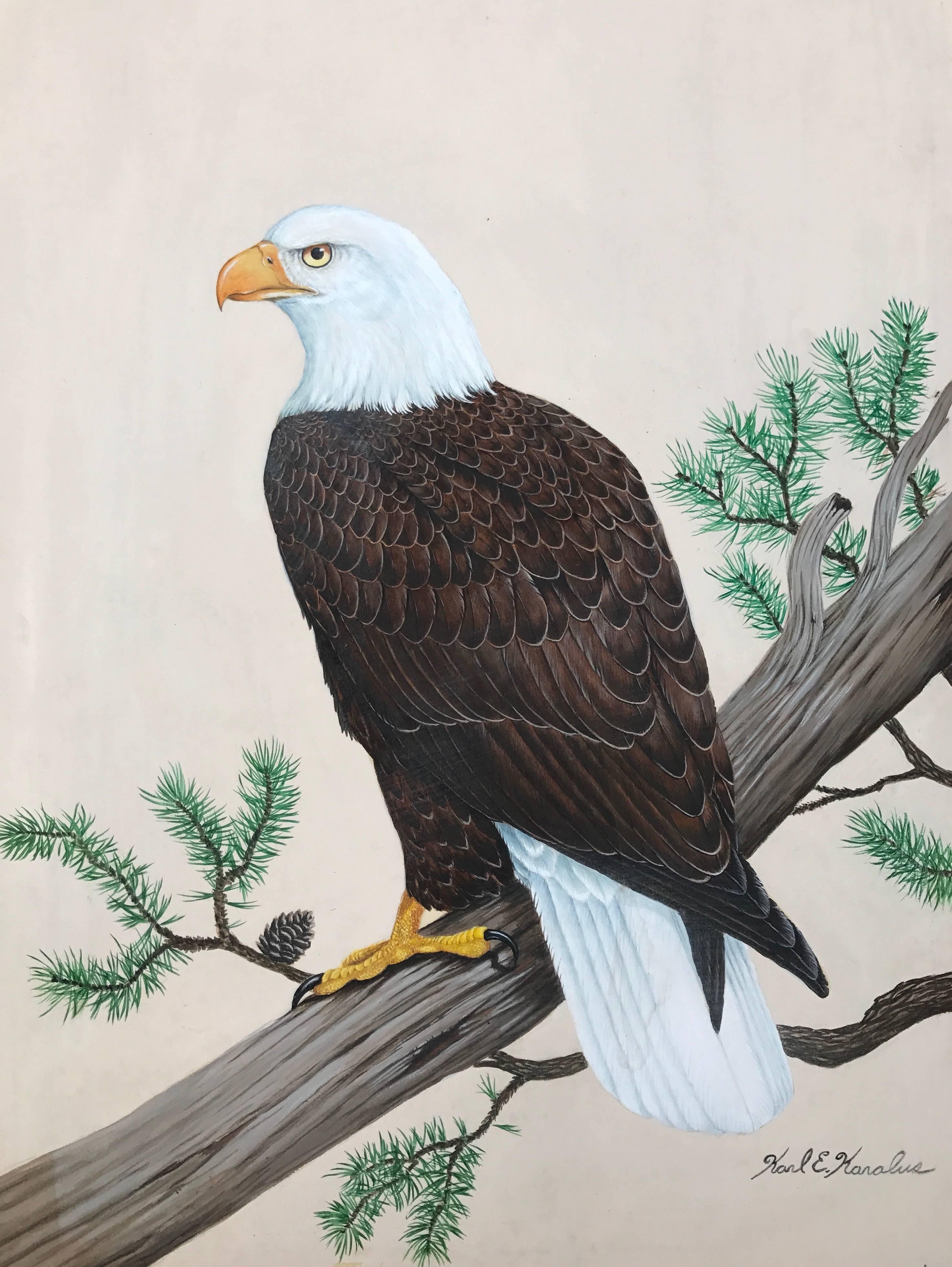 Karl E. Karalus Landscape Art - "American Bald Eagle"
