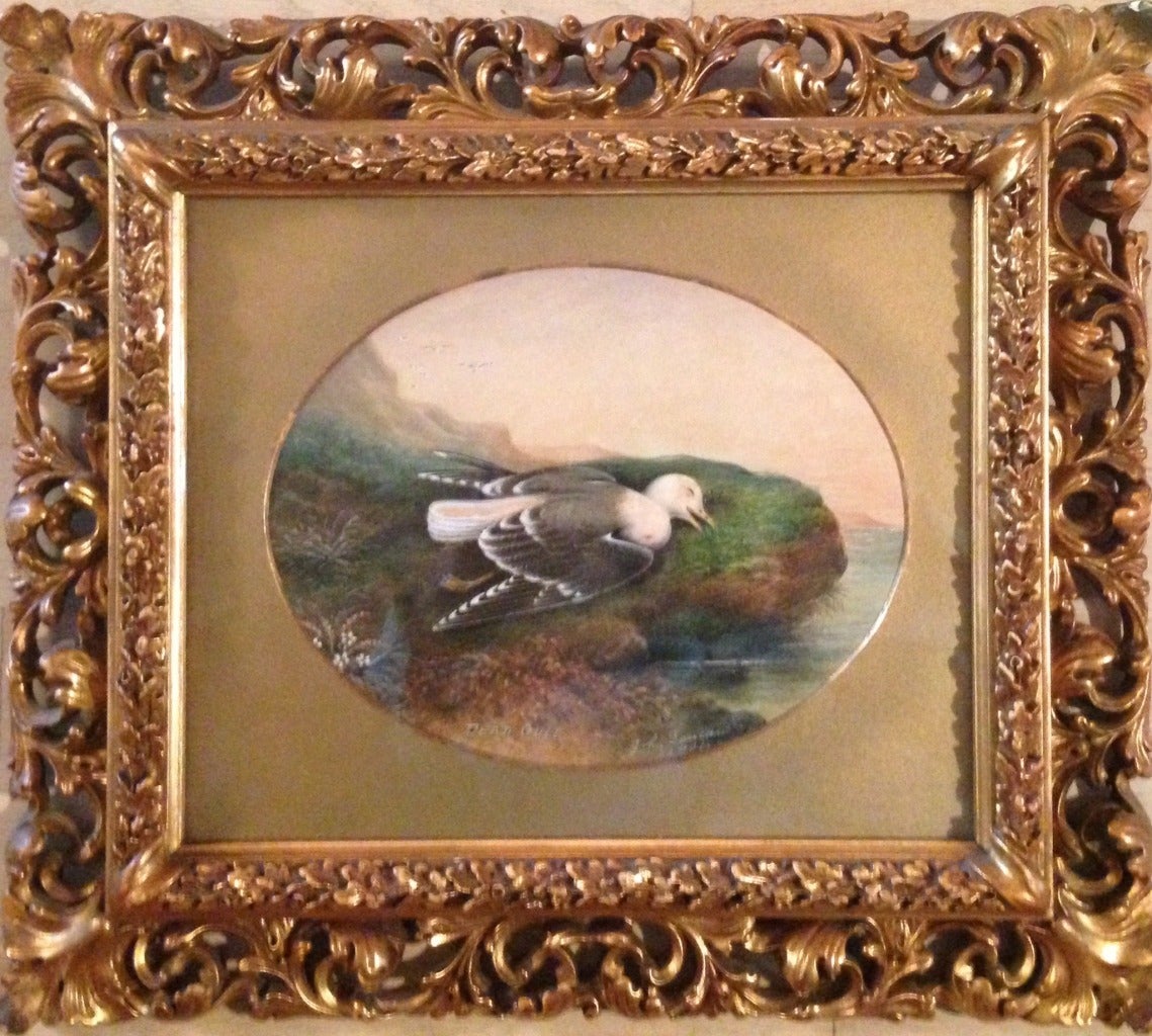 John Duncan Landscape Painting - “Dead Gull”