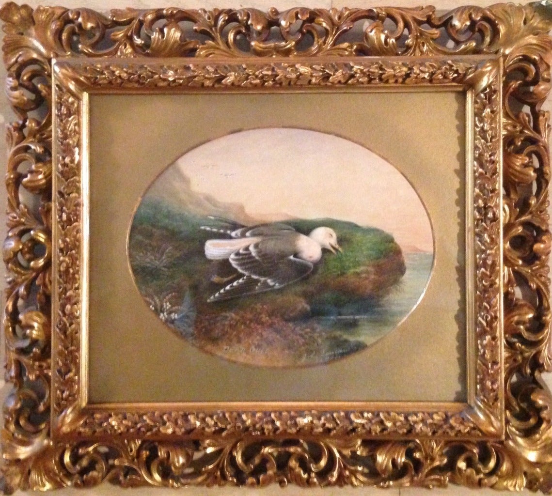 Landscape Painting de John Duncan - "Gaviota Muerta"