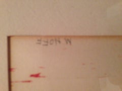 Flug in den Sonnenuntergang