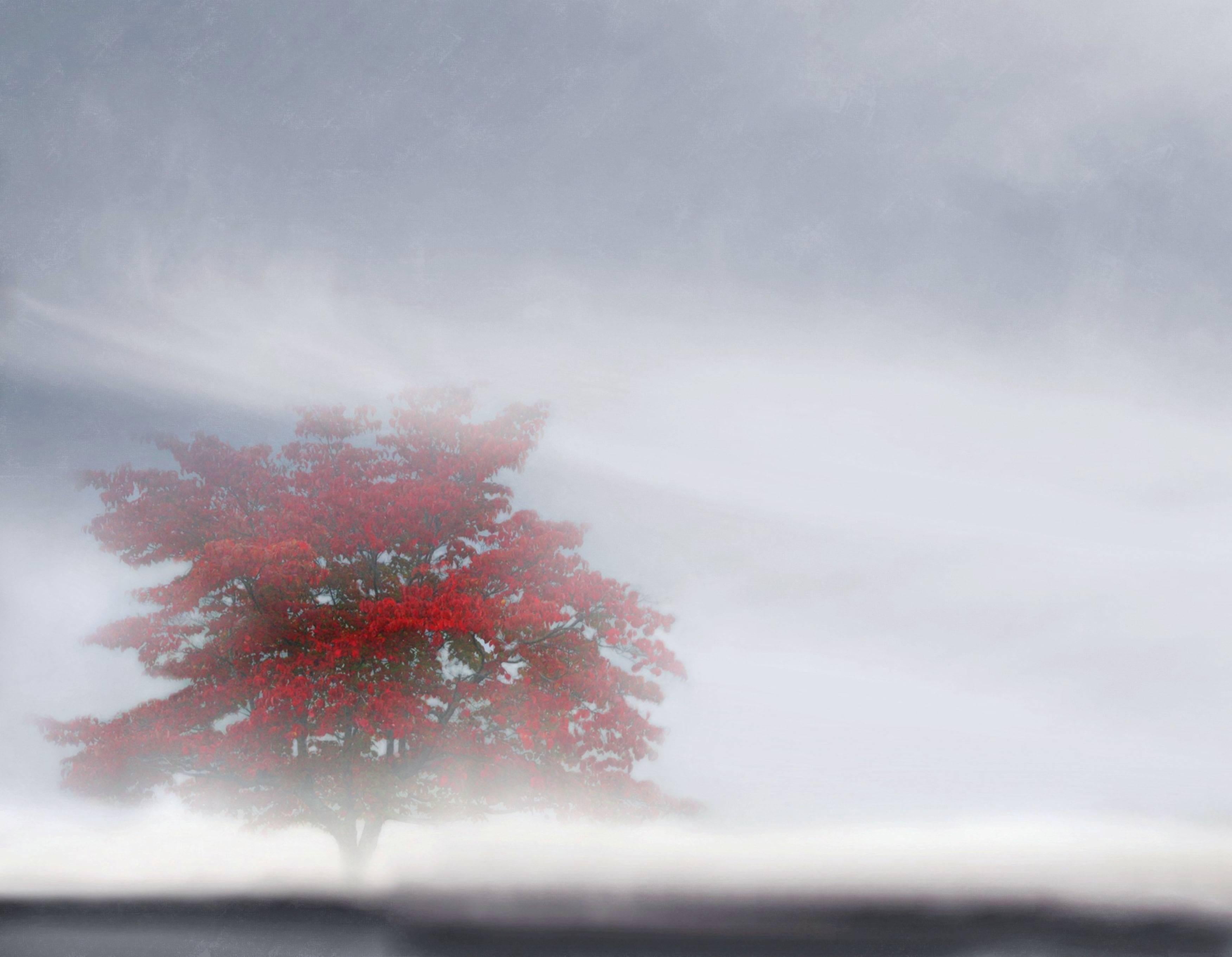 Linda Brazeau Landscape Painting - The Depth of Stillness